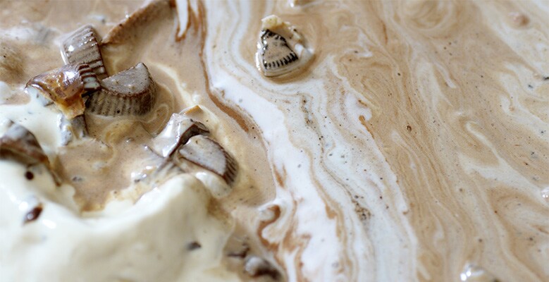 Ben & Jerry's Melt Report 2