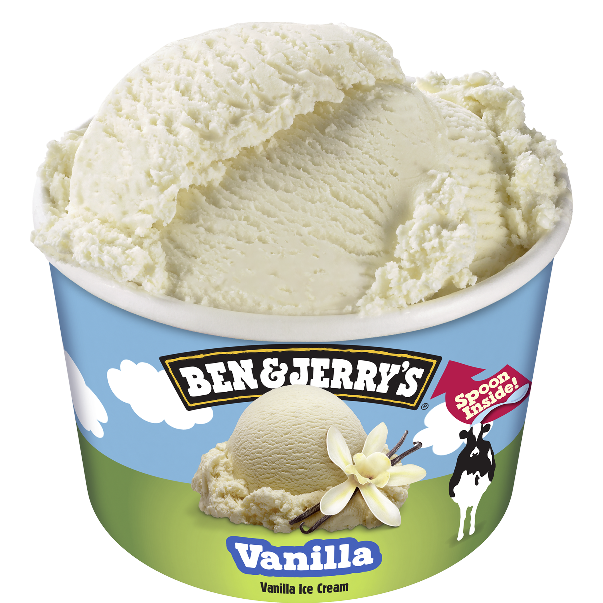 Vanilla Ice Cream - mini