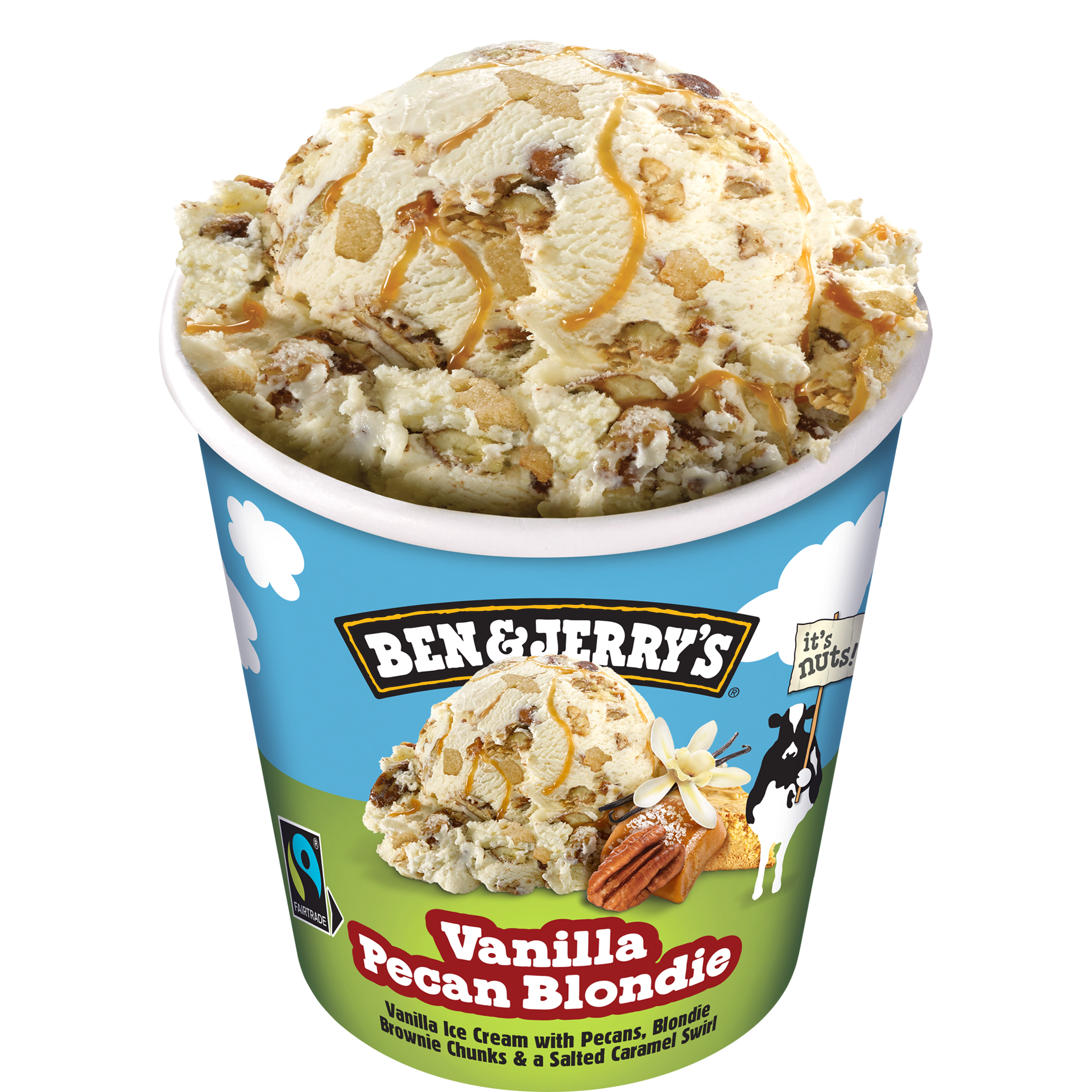 Vanilla Pecan Blondie Original Ice Cream Pint