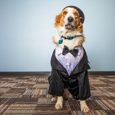 Max the Gentleman