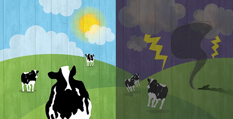 beautiful-world-scary-world-779x400.jpg (caring dairy picket)