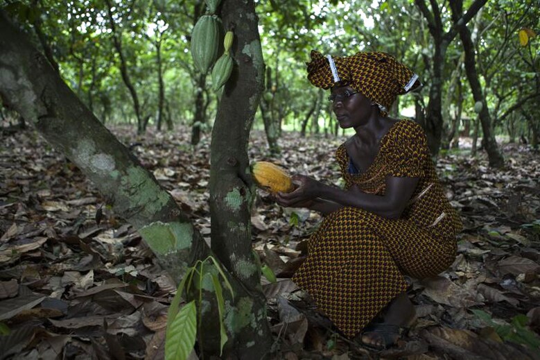 Celebrate Fairtrade Farmers